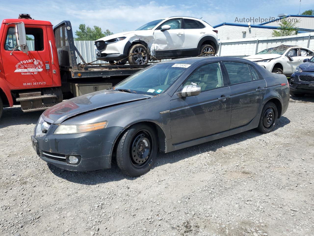 2008 Acura Tl  Gray vin: 19UUA66268A048801