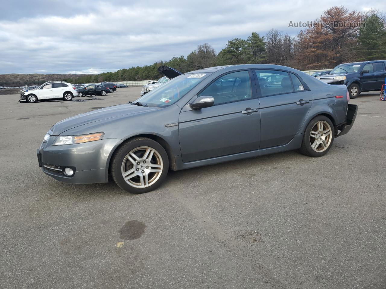 2008 Acura Tl  Gray vin: 19UUA66268A049690