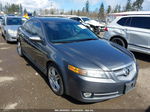 2008 Acura Tl 3.2 Gray vin: 19UUA66268A054145