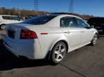 2005 Acura Tl  Белый vin: 19UUA66275A006231