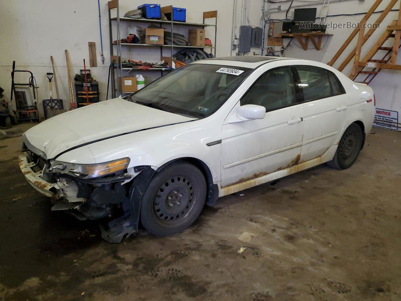 2005 Acura Tl  White vin: 19UUA66275A025071