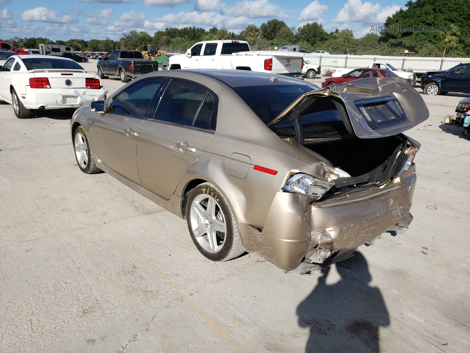 2005 Acura Tl  Tan vin: 19UUA66275A039391