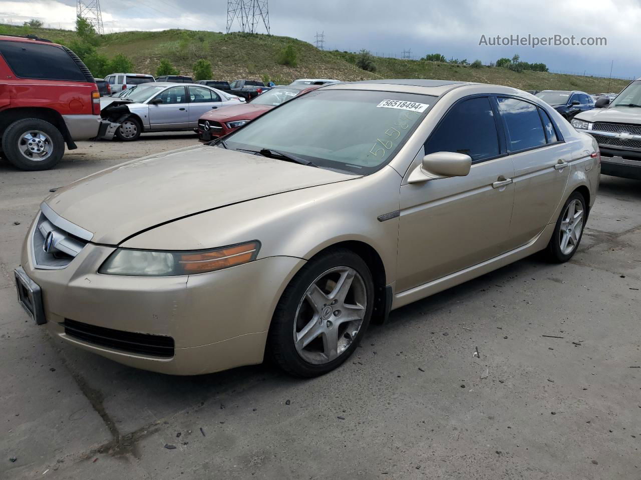 2005 Acura Tl  Tan vin: 19UUA66275A055798