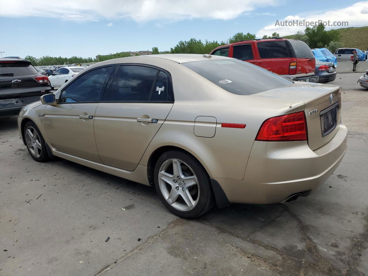 2005 Acura Tl  Tan vin: 19UUA66275A055798