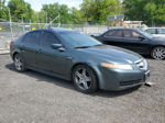 2005 Acura Tl  Green vin: 19UUA66275A055963