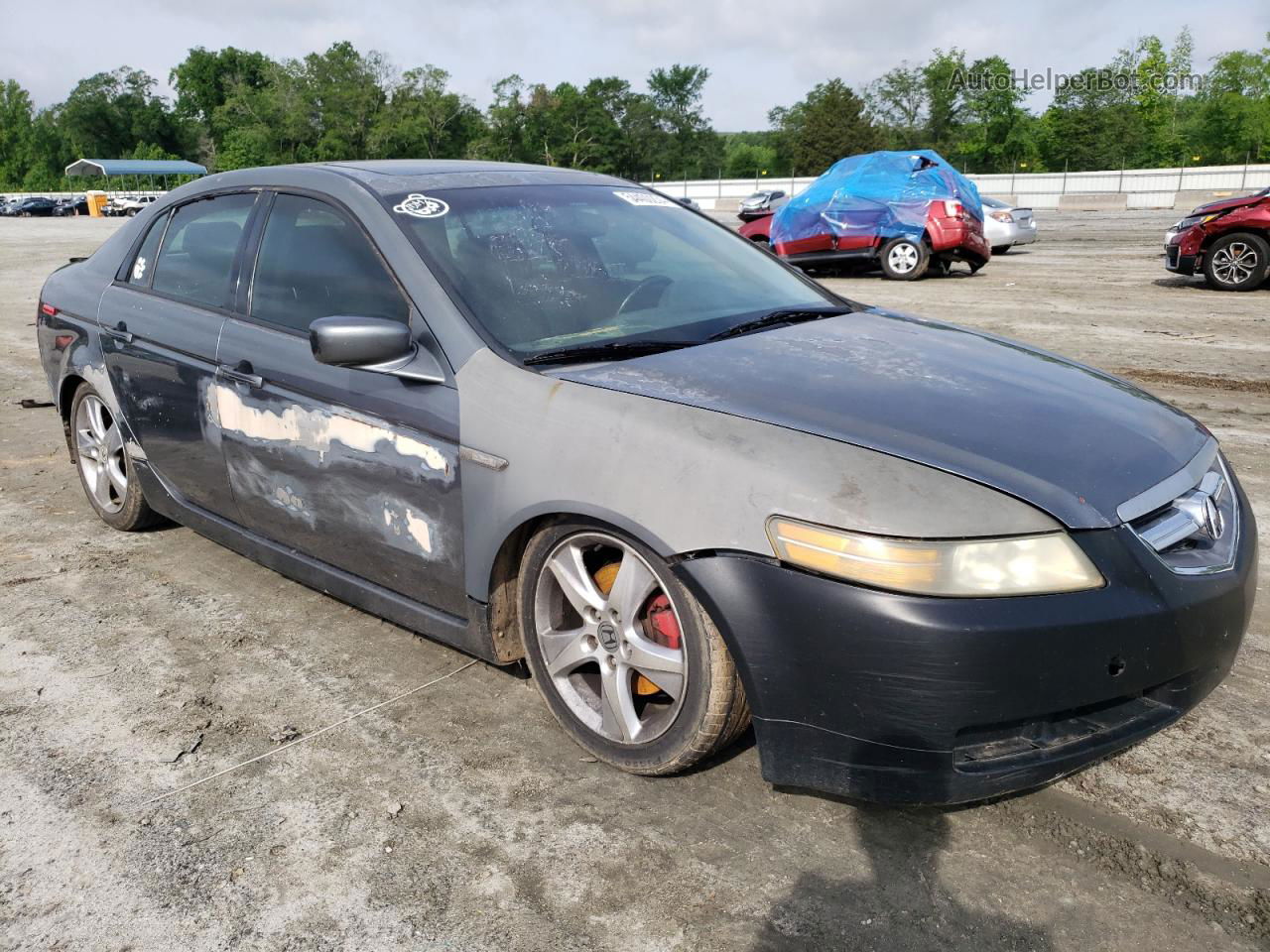 2005 Acura Tl  Gray vin: 19UUA66275A069992