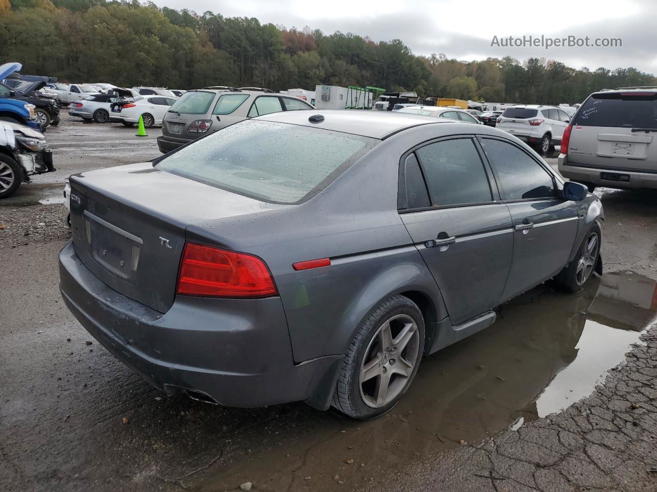 2005 Acura Tl Gray vin: 19UUA66275A077560