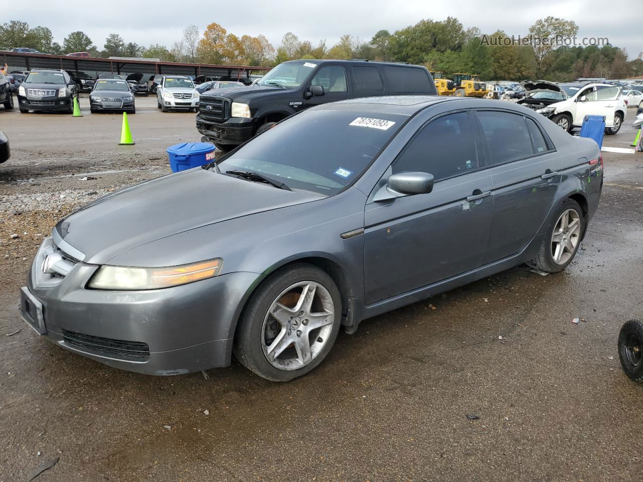 2005 Acura Tl Gray vin: 19UUA66275A077560