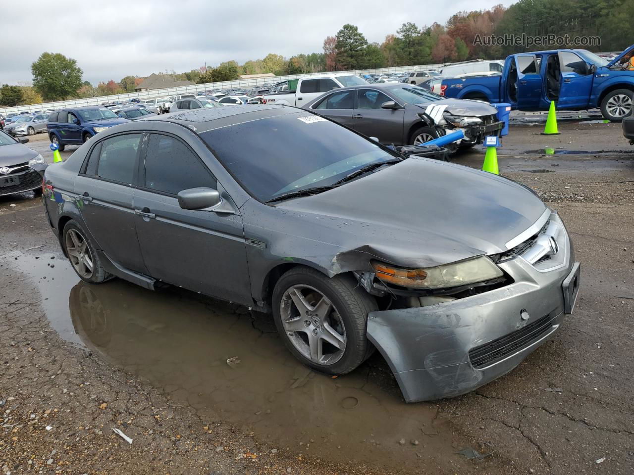 2005 Acura Tl Gray vin: 19UUA66275A077560