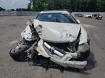 2008 Acura Tl  Белый vin: 19UUA66278A002264