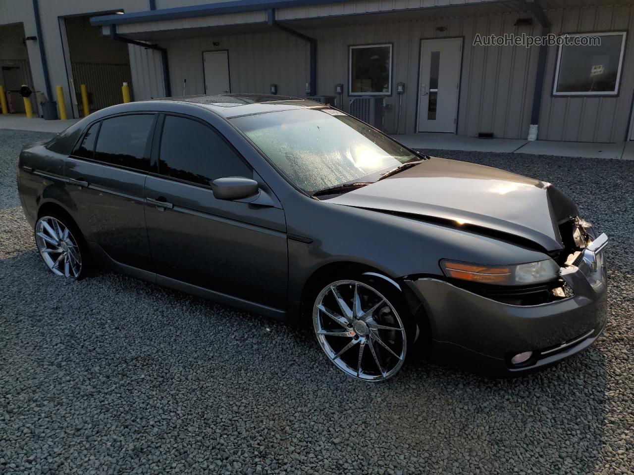 2008 Acura Tl  Серый vin: 19UUA66278A005164