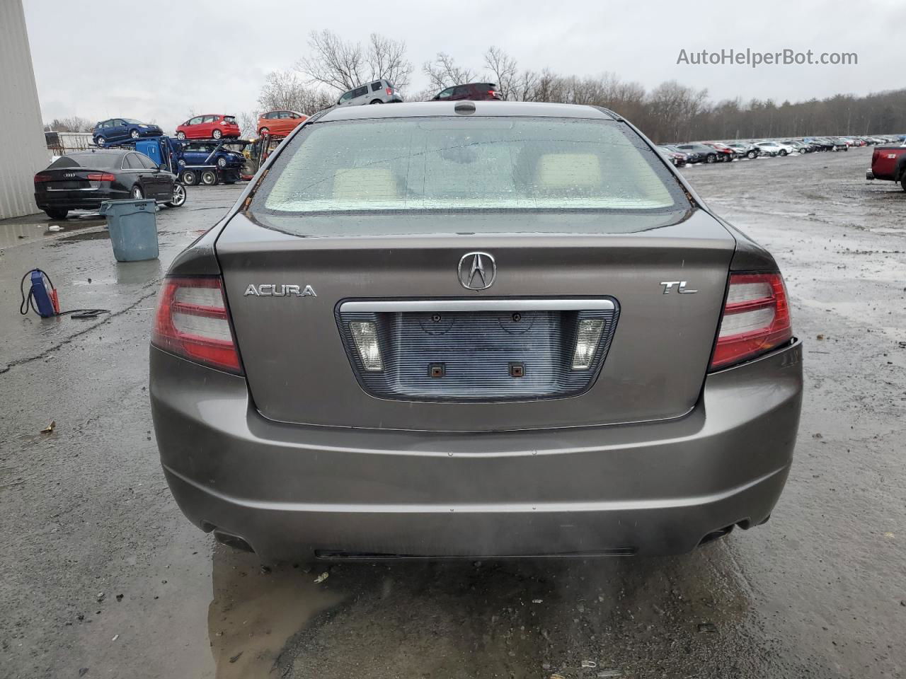 2008 Acura Tl  Gray vin: 19UUA66278A014656