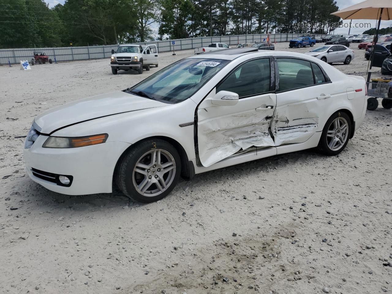 2008 Acura Tl  White vin: 19UUA66278A018366