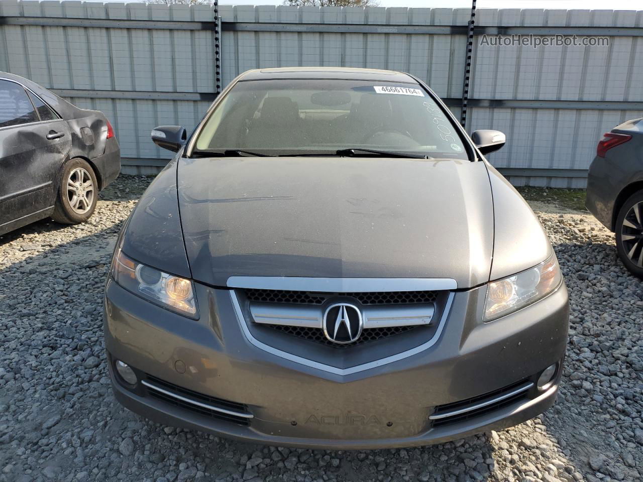 2008 Acura Tl  Gray vin: 19UUA66278A040982