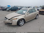 2005 Acura Tl   Gold vin: 19UUA66285A007887