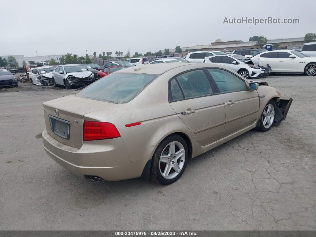 2005 Acura Tl   Gold vin: 19UUA66285A007887