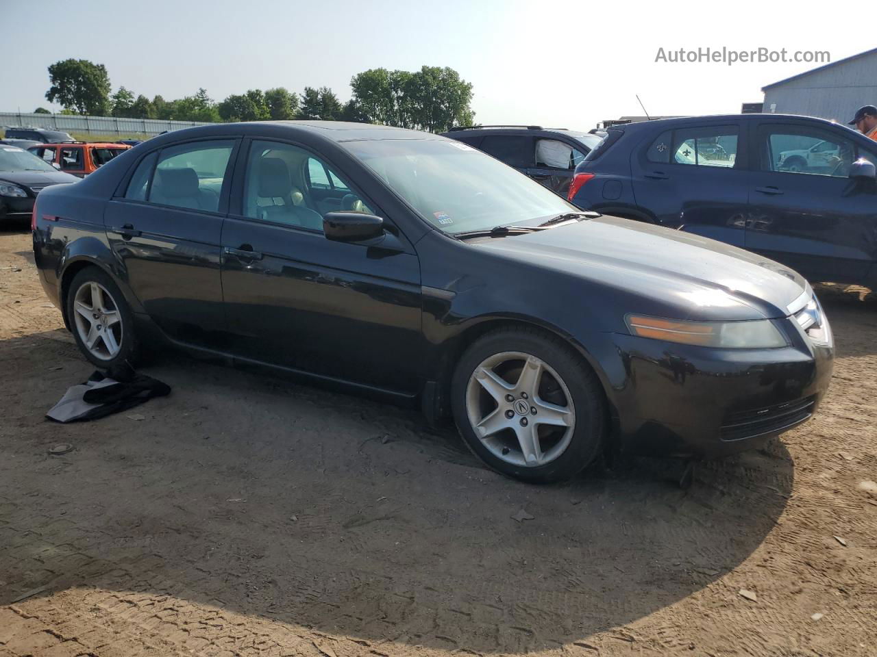 2005 Acura Tl  Black vin: 19UUA66285A012488