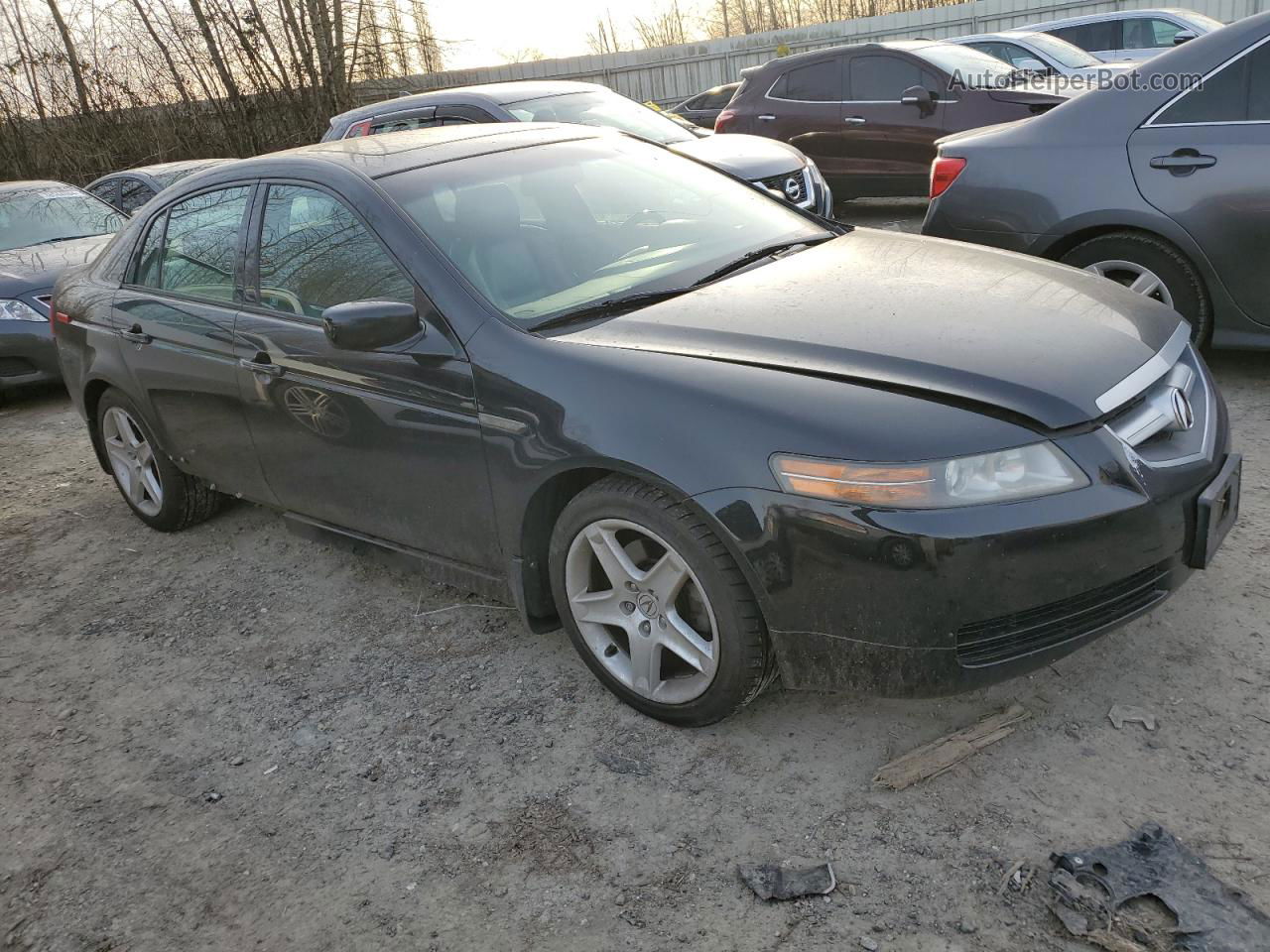 2005 Acura Tl  Black vin: 19UUA66285A013009