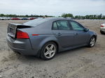 2005 Acura Tl  Gray vin: 19UUA66285A027931