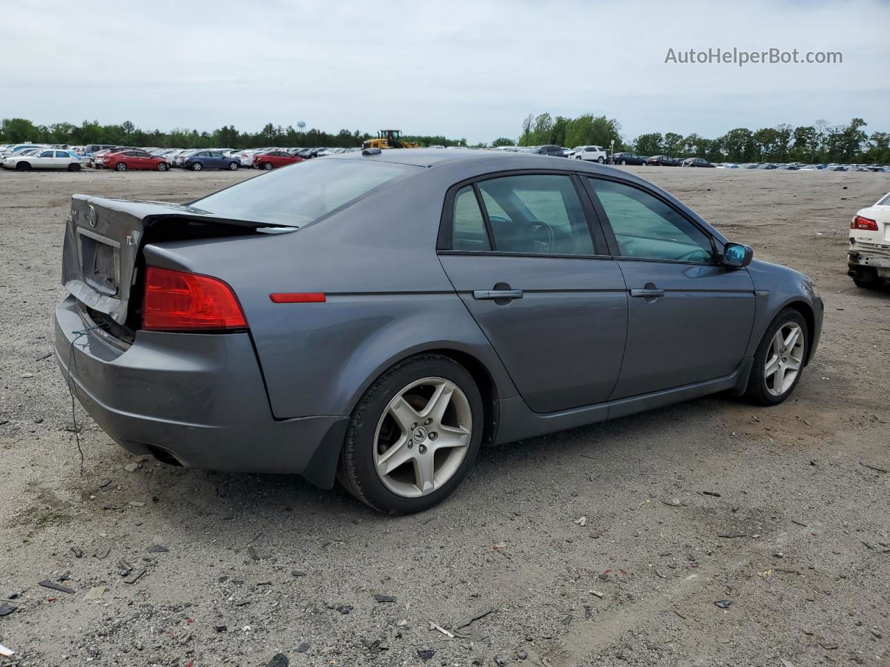 2005 Acura Tl  Gray vin: 19UUA66285A027931