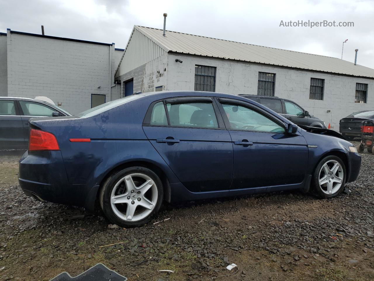 2005 Acura Tl  Синий vin: 19UUA66285A050903