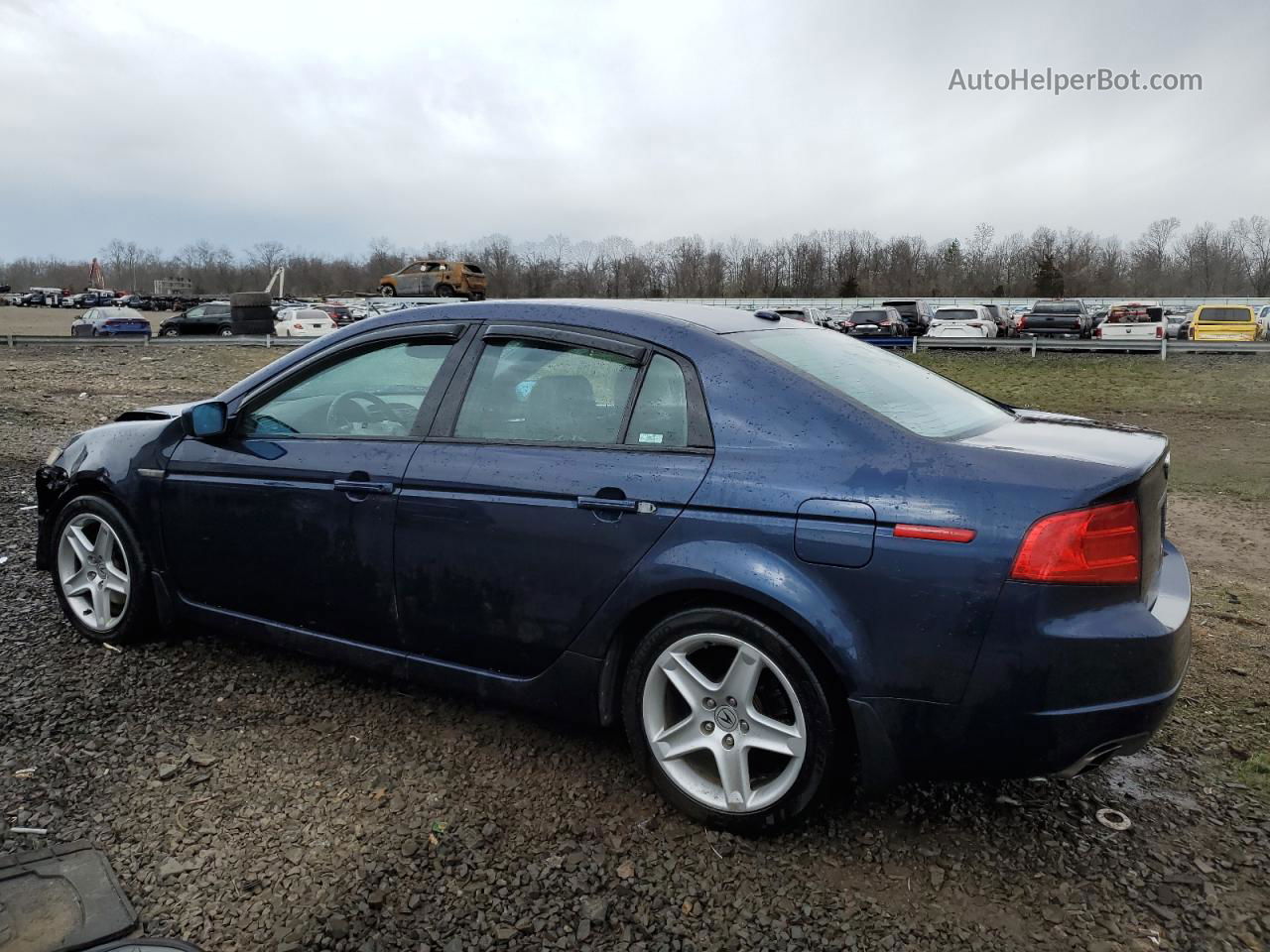 2005 Acura Tl  Синий vin: 19UUA66285A050903