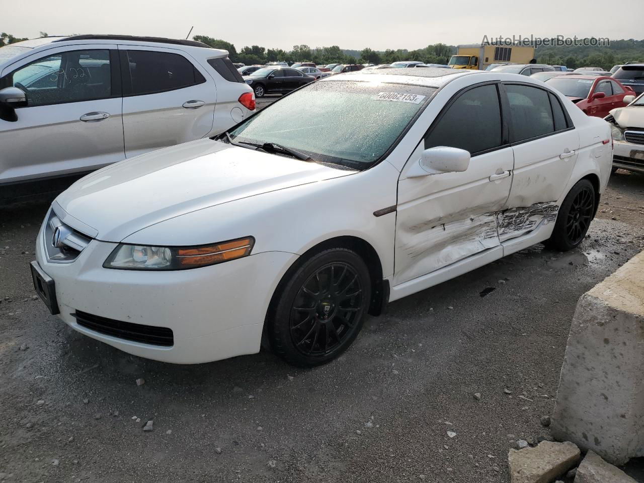 2005 Acura Tl  White vin: 19UUA66285A070214