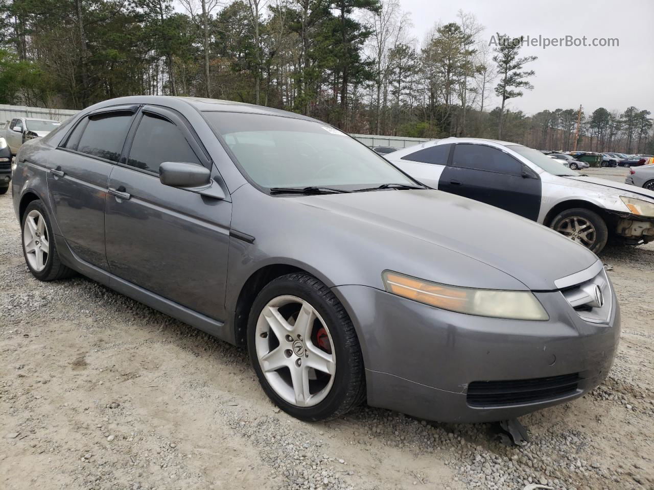 2005 Acura Tl  Gray vin: 19UUA66285A080080