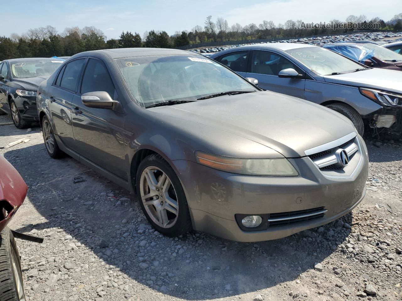 2008 Acura Tl  Gray vin: 19UUA66288A005920