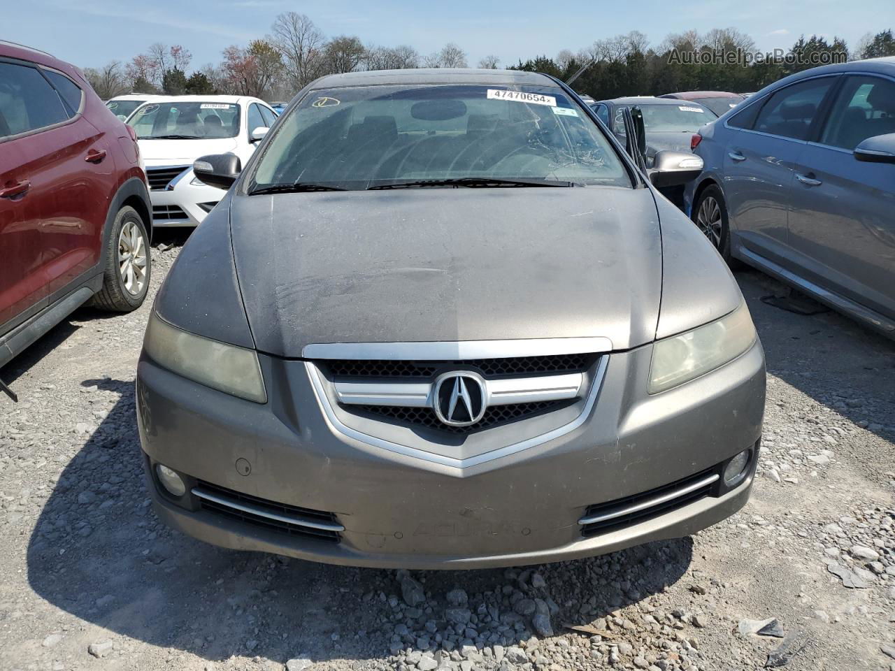 2008 Acura Tl  Gray vin: 19UUA66288A005920