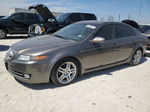 2008 Acura Tl  Gray vin: 19UUA66288A012821