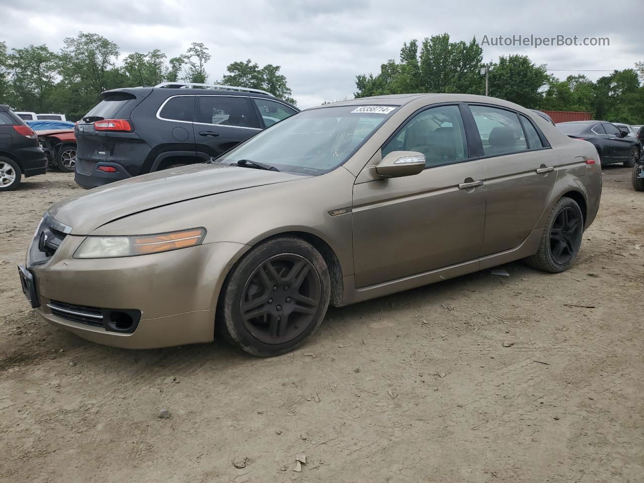 2008 Acura Tl  Beige vin: 19UUA66288A019543