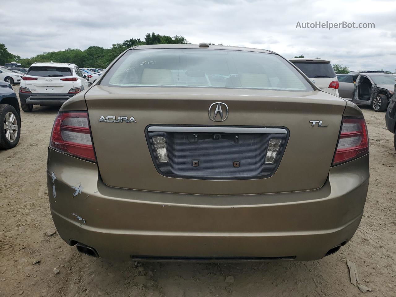 2008 Acura Tl  Beige vin: 19UUA66288A019543