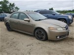 2008 Acura Tl  Beige vin: 19UUA66288A019543