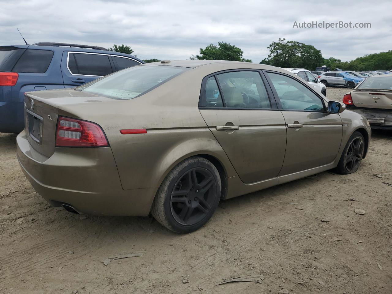 2008 Acura Tl  Beige vin: 19UUA66288A019543