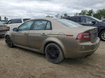 2008 Acura Tl  Бежевый vin: 19UUA66288A019543