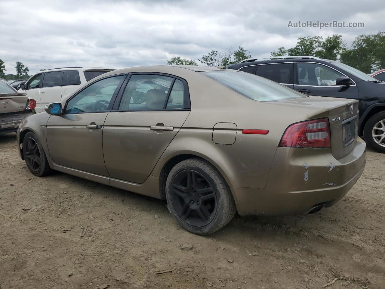 2008 Acura Tl  Beige vin: 19UUA66288A019543