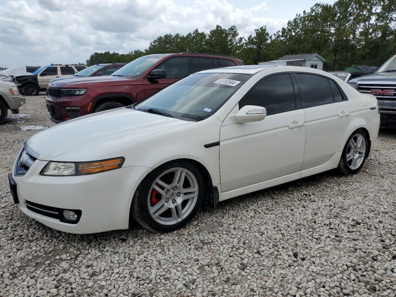 2008 Acura Tl  White vin: 19UUA66288A047052