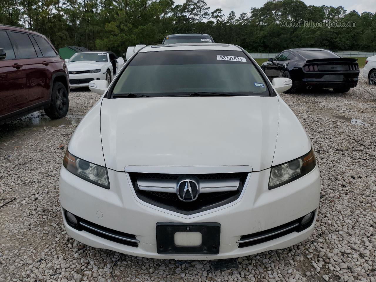 2008 Acura Tl  White vin: 19UUA66288A047052