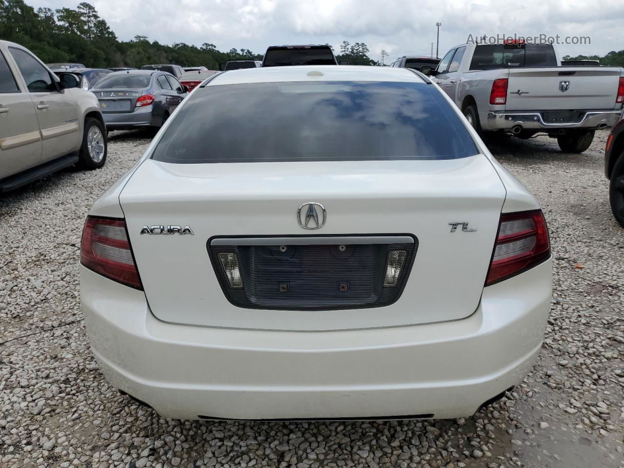 2008 Acura Tl  White vin: 19UUA66288A047052