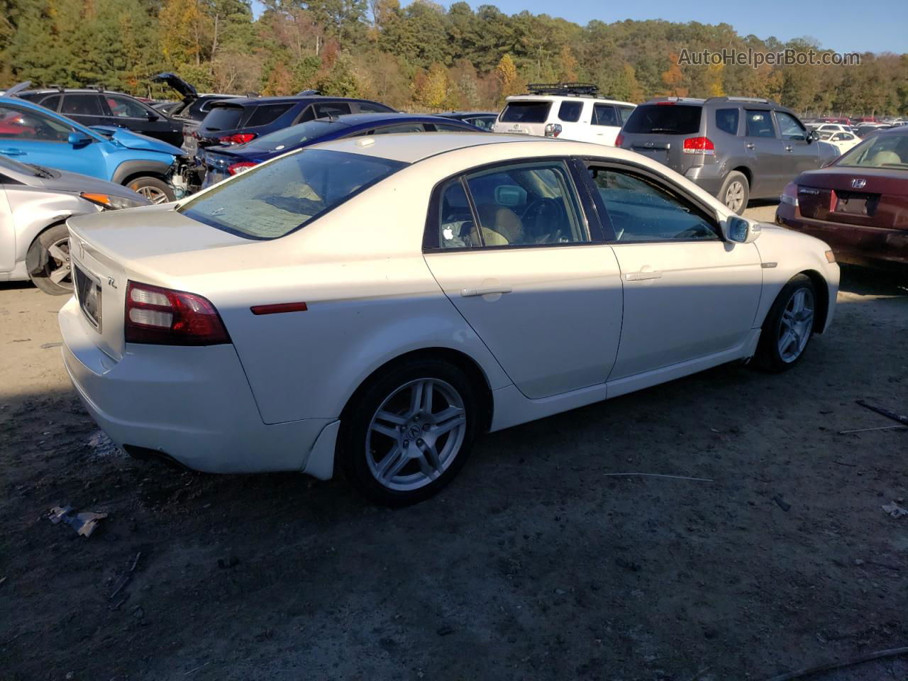 2008 Acura Tl  White vin: 19UUA66288A047150