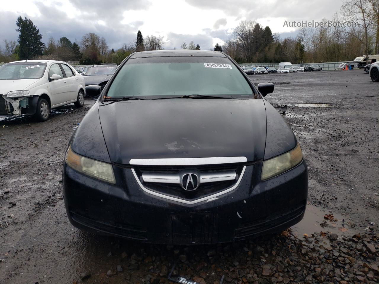 2005 Acura Tl  Black vin: 19UUA66295A008773