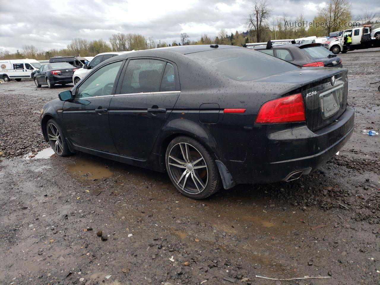 2005 Acura Tl  Black vin: 19UUA66295A008773