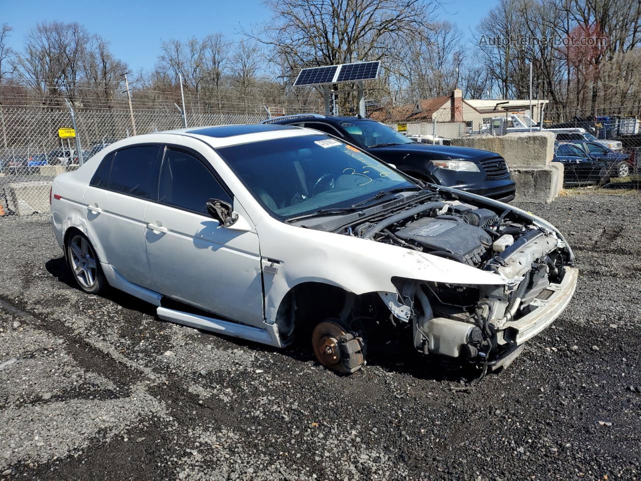 2005 Acura Tl  White vin: 19UUA66295A024794