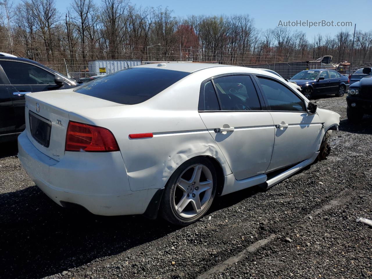 2005 Acura Tl  White vin: 19UUA66295A024794