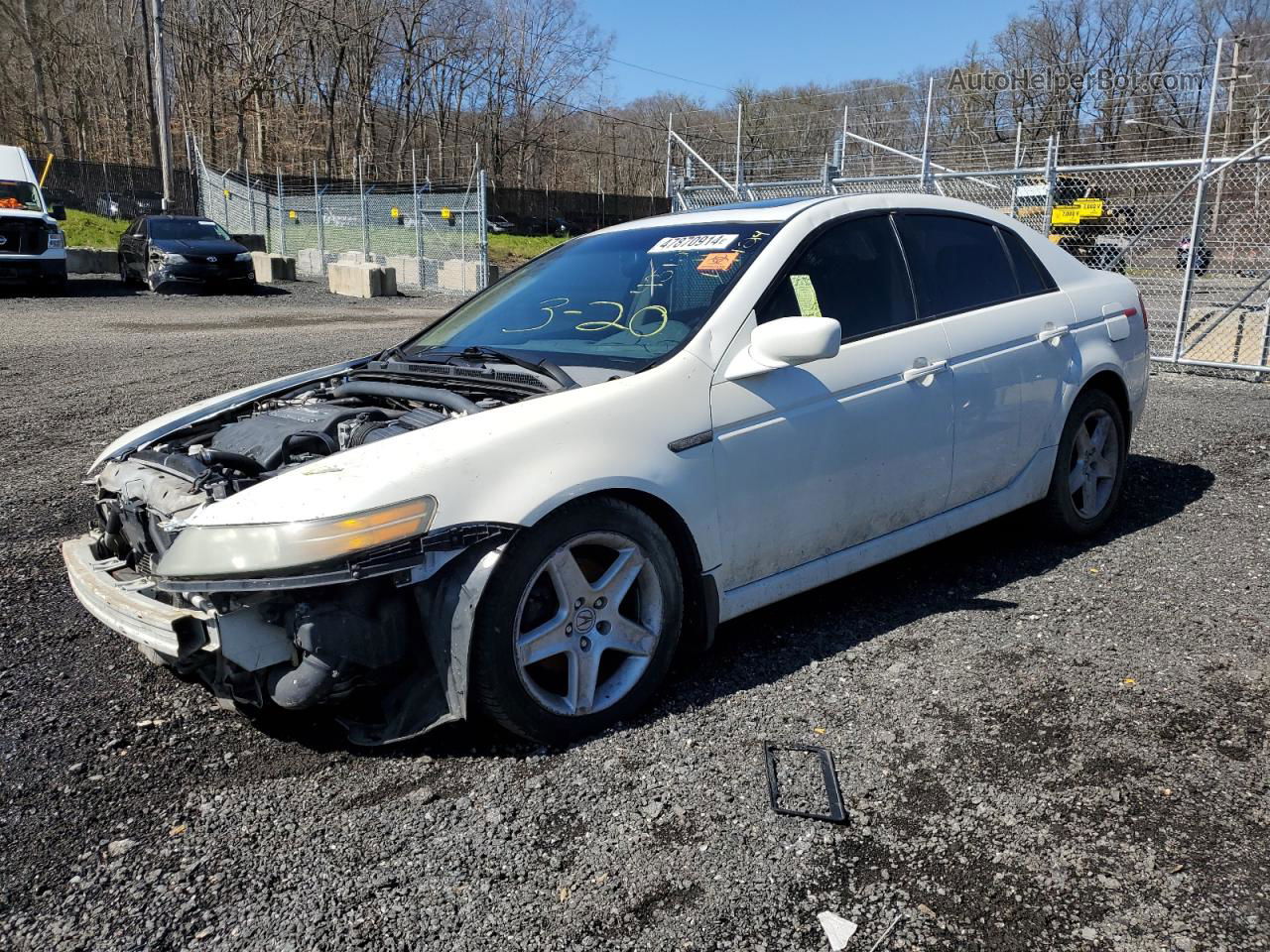 2005 Acura Tl  White vin: 19UUA66295A024794