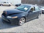 2005 Acura Tl   Черный vin: 19UUA66295A048531