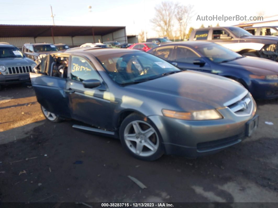 2005 Acura Tl   Серый vin: 19UUA66295A050540