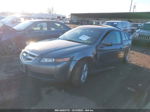 2005 Acura Tl   Gray vin: 19UUA66295A050540