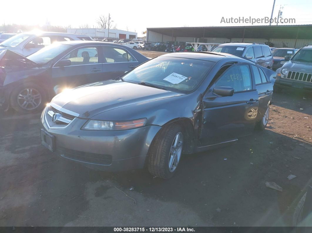 2005 Acura Tl   Gray vin: 19UUA66295A050540